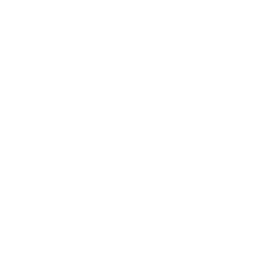 WhatsApp icon in white